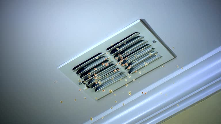 Best Affordable Air Duct Cleaning  in Kingsbury, NV